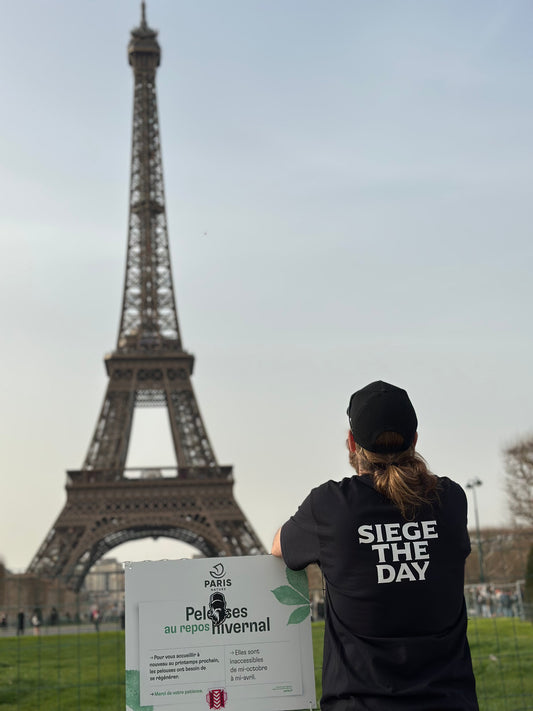 Siege the Day T-shirt